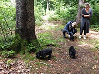 Brian stoppt einen Ausreisser vom Wegrennen!