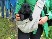 Kaylah macht es sich bequem im Tragsack!