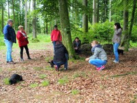 ... was ist das denn für eine Versammlung im Wald?