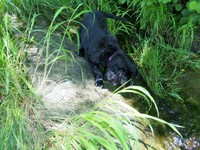 auf Entdeckungsreise am Weiher!