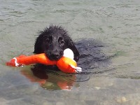 Quiero am Rhein