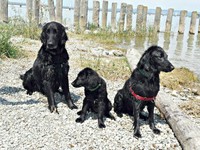 Jaymee und Kaylah mit Opa Dublin am Bodensee