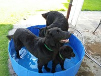 ... und anschliessend im kleinen Garten-Pool