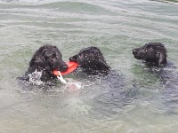 Badeplausch mit Quiero am Rhein