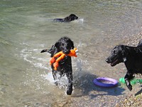 juppee - ich kann schwimmen!