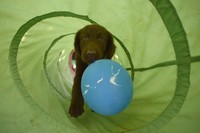 Chenda rennt gleich mit einem Ballon durch den Tunnel