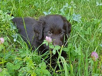 das kitzelt in der Nase!