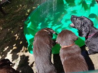 so cool - da kommt ja Wasser von oben!