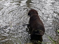 dann ist es plötzlich die Jo, die im Wasser steht!