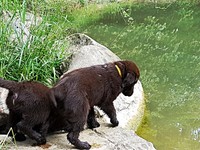 wir machen einen kleinen Ausflug an Waldweiher