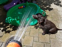 Ruby schnappt sich gleich den Wasserstrahl!