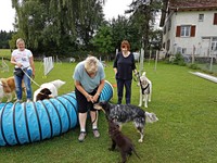 Railey + Jo dürfen mit in die Hundeschule