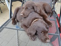 ... wollen wir nur noch schlafen!