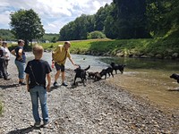ihre Tanten und Onkel tanzen und spritzen um sie herum!