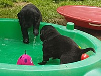 ... komm auch mit rein, ist doch nur Wasser!