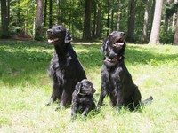 ... auch Simon wollte ein Familienfoto haben!