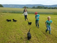 Sonntags-Spaziergang auf die grosse Wiese