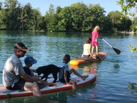 Splash darf mit seiner Familie auf's SUP