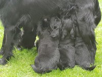 spielen an der frischen Luft gibt Hunger!