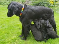 Kaylah stellt sich brav hin - Mama Pflichten!