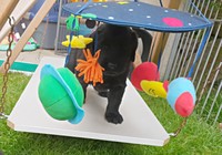 Skye versucht's von oben!