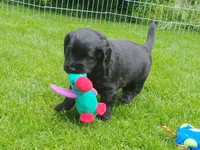 ... egal ob farbig oder grau!