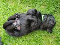 Tex - tiefenentspannt!