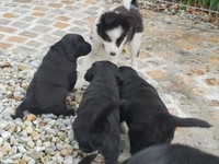 Neugierig wird gegenseitig beschnuppert!