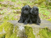 ... noch schnell ein kleines Fotoshooting, bevor wir gleich einschlafen!