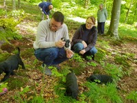 Caroline + Felix mit den Welpen im Wald