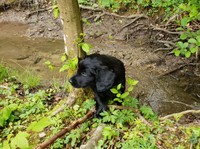 ... und am anderen Ufer wieder hochgeklettert!