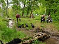 unser erster Ausflug an ein Bächlein