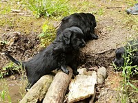 ... komm wir versuchen's mal!