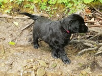 hey, ich bin schon unten!