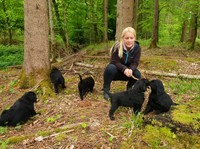 ... es kommen immer mehr dazu!