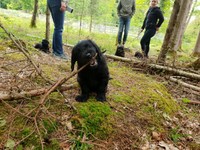 ... ich habe einen tollen Stecken gefunden!