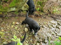 ...hab's doch noch geschafft!