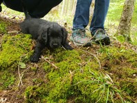 ... aber ich trau mich nicht!