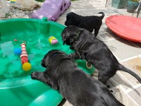 Badesaison eröffnet! Traust du dich da rein?