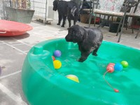 ... ich bin schon drin - ist doch kein Problem!