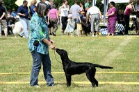 Angel und Onyx in Aarau