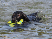 Badeplausch am Rhein