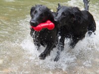 Badeplausch an der Glatt