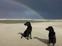 Feriengrüsse aus Ameland