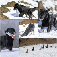 Jagdtraining Guru-Style geht in die zweite Runde!