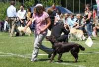 Jubiläums-Clubshow in Burgdorf