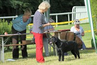 Onyx an seiner ersten Ausstellung!