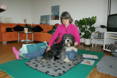 Shiatsu für Tiere